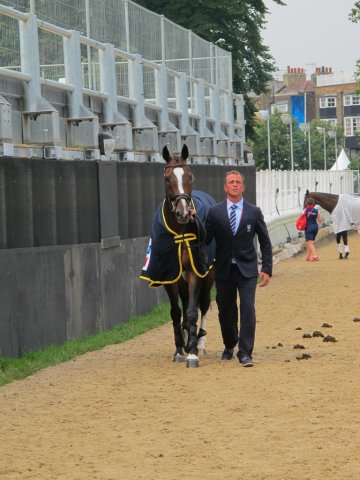Stefano Brecciaroli con Apollo